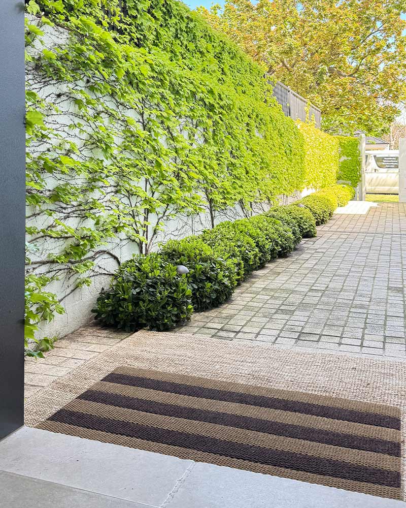 Everlast Brown Stripes